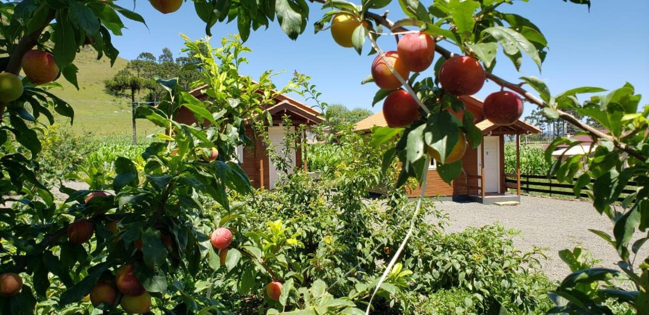 فندق Amanhecer Na Serra أوروبيسي المظهر الخارجي الصورة